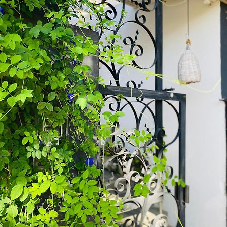 Apartmán Casa Elsa Pipa Praia de Pipa Exteriér fotografie