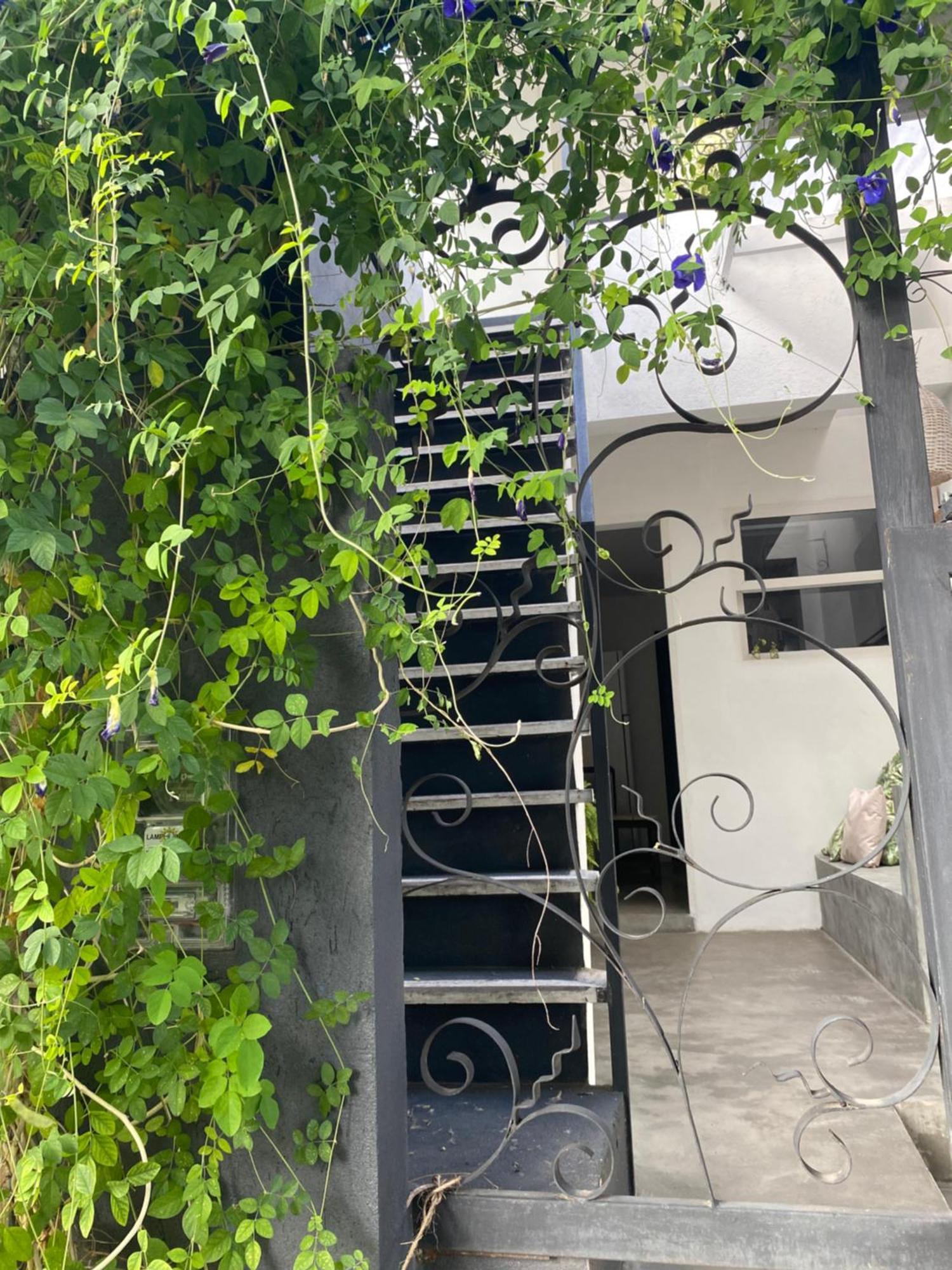 Apartmán Casa Elsa Pipa Praia de Pipa Exteriér fotografie